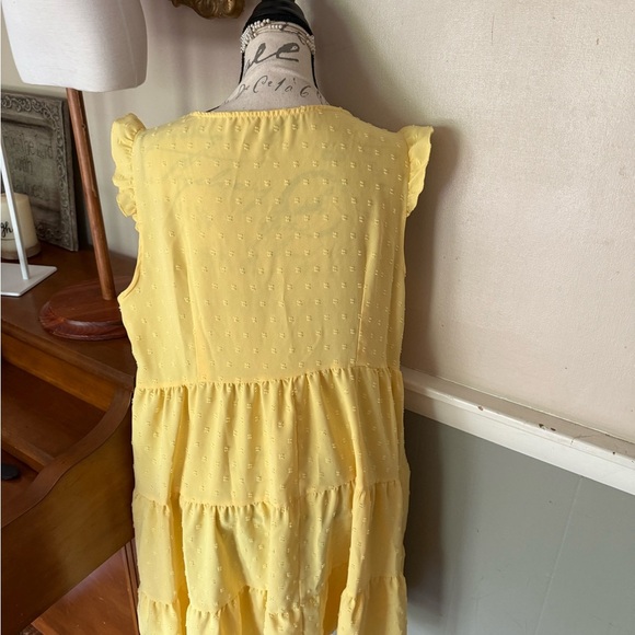 SHEIN LUNE Plus Button Front Ruffle Trim Ruffle Hem Dress - Picture 5 of 6